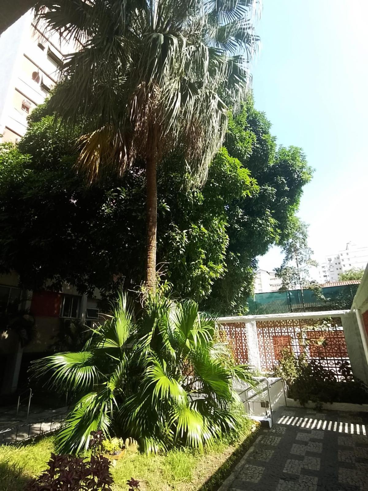 Apartamento Parque Jardim Europa Rio de Janeiro Exteriör bild